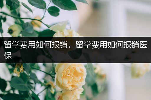 留学费用如何报销，留学费用如何报销医保