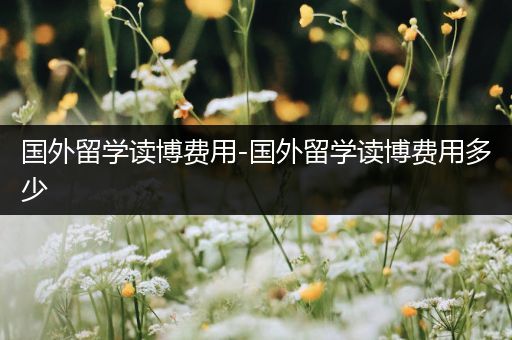 国外留学读博费用-国外留学读博费用多少