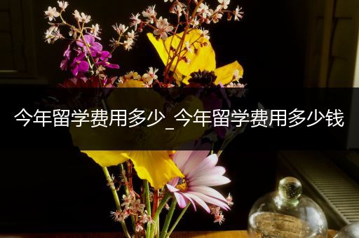 今年留学费用多少_今年留学费用多少钱