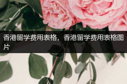 香港留学费用表格，香港留学费用表格图片