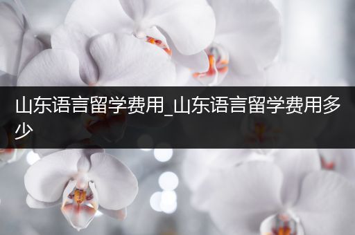 山东语言留学费用_山东语言留学费用多少