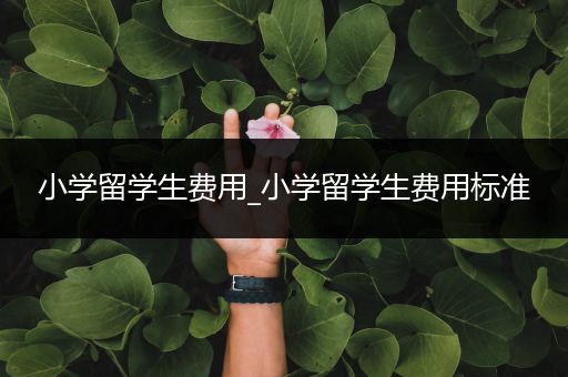 小学留学生费用_小学留学生费用标准
