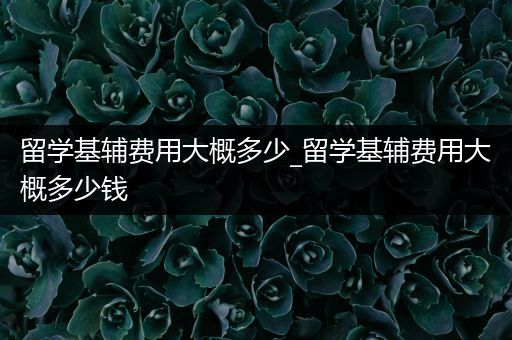 留学基辅费用大概多少_留学基辅费用大概多少钱