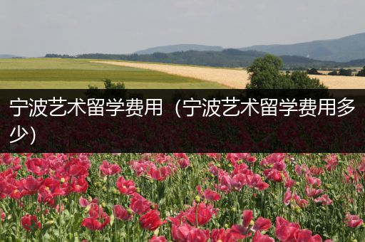 宁波艺术留学费用（宁波艺术留学费用多少）