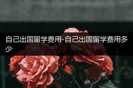 自己出国留学费用-自己出国留学费用多少