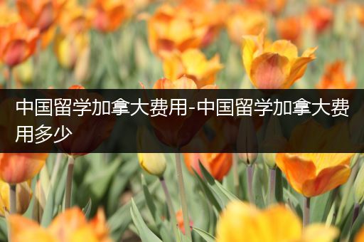 中国留学加拿大费用-中国留学加拿大费用多少