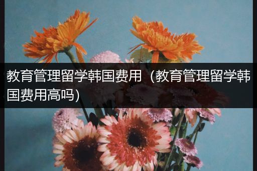 教育管理留学韩国费用（教育管理留学韩国费用高吗）