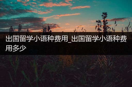 出国留学小语种费用_出国留学小语种费用多少