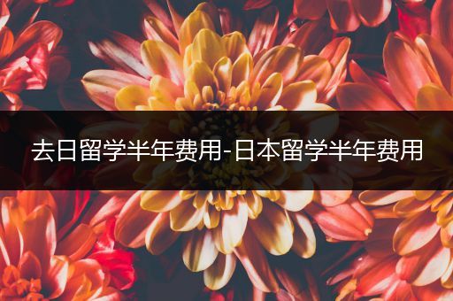 去日留学半年费用-日本留学半年费用