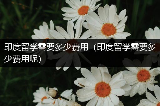 印度留学需要多少费用（印度留学需要多少费用呢）