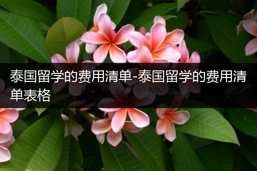泰国留学的费用清单-泰国留学的费用清单表格