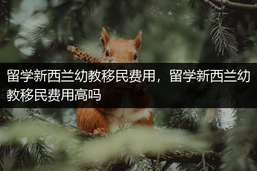 留学新西兰幼教移民费用，留学新西兰幼教移民费用高吗