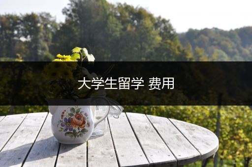 大学生留学 费用