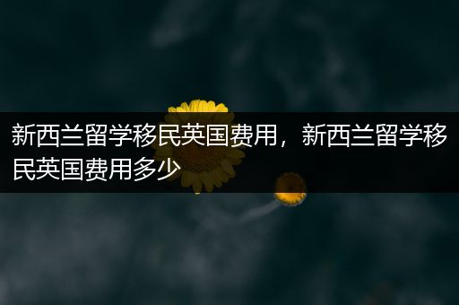 新西兰留学移民英国费用，新西兰留学移民英国费用多少