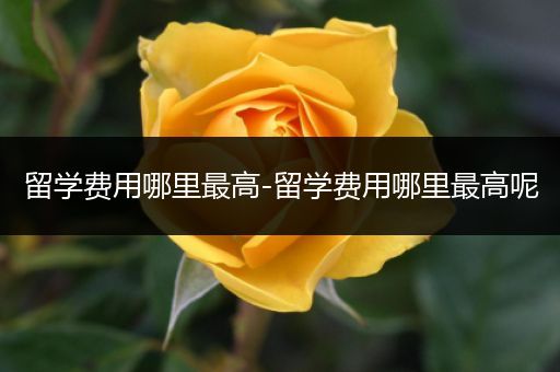 留学费用哪里最高-留学费用哪里最高呢