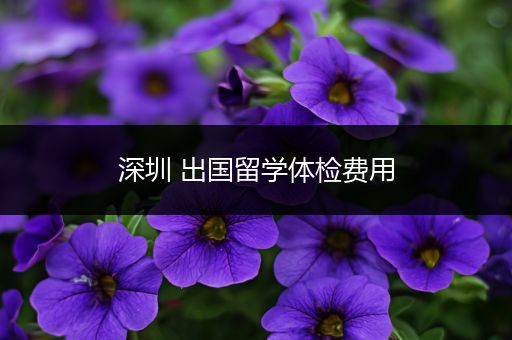 深圳 出国留学体检费用