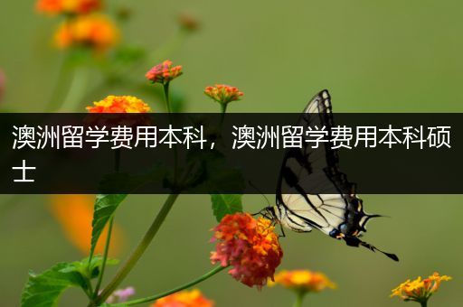 澳洲留学费用本科，澳洲留学费用本科硕士