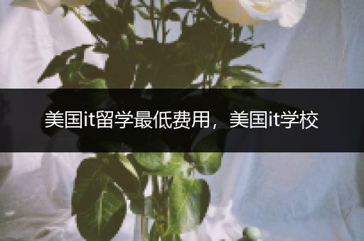 美国it留学最低费用，美国it学校