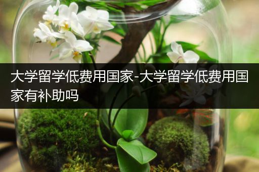 大学留学低费用国家-大学留学低费用国家有补助吗