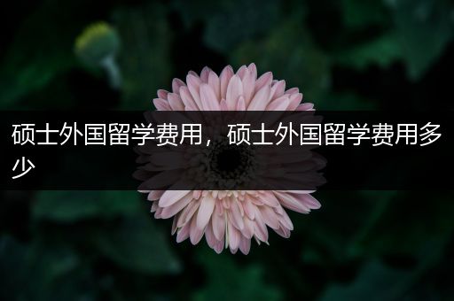 硕士外国留学费用，硕士外国留学费用多少