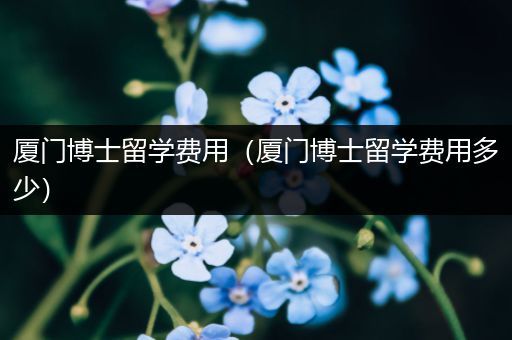 厦门博士留学费用（厦门博士留学费用多少）