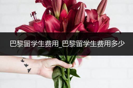 巴黎留学生费用_巴黎留学生费用多少