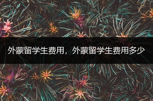 外蒙留学生费用，外蒙留学生费用多少