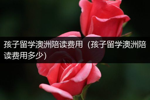 孩子留学澳洲陪读费用（孩子留学澳洲陪读费用多少）