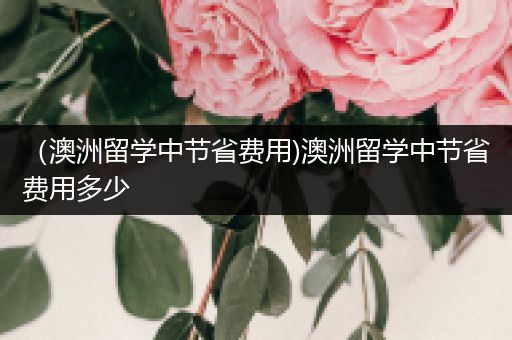 （澳洲留学中节省费用)澳洲留学中节省费用多少
