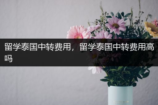 留学泰国中转费用，留学泰国中转费用高吗