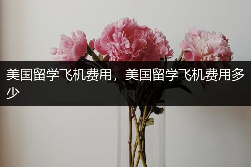 美国留学飞机费用，美国留学飞机费用多少