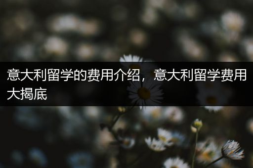 意大利留学的费用介绍，意大利留学费用大揭底