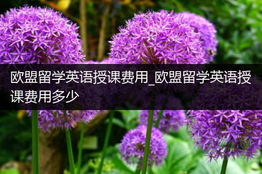 欧盟留学英语授课费用_欧盟留学英语授课费用多少