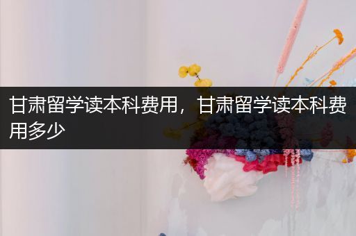 甘肃留学读本科费用，甘肃留学读本科费用多少
