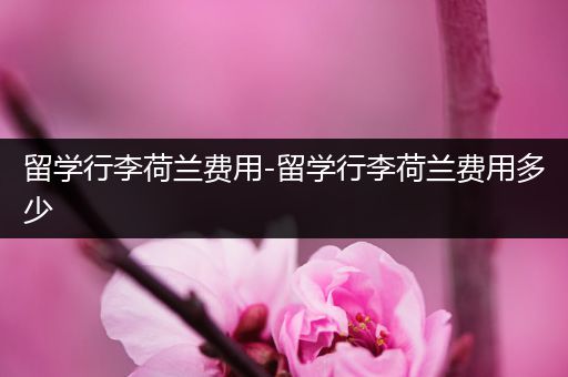 留学行李荷兰费用-留学行李荷兰费用多少