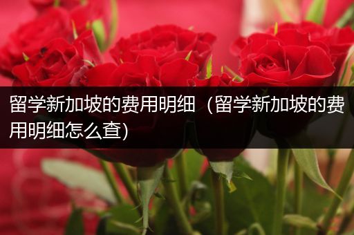 留学新加坡的费用明细（留学新加坡的费用明细怎么查）