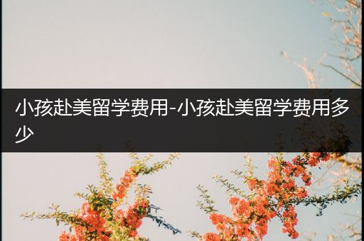 小孩赴美留学费用-小孩赴美留学费用多少