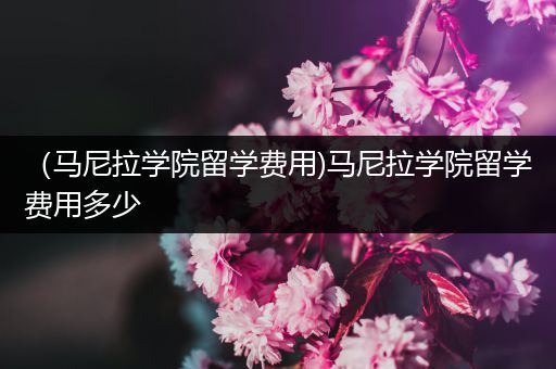 （马尼拉学院留学费用)马尼拉学院留学费用多少