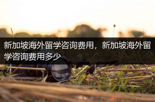 新加坡海外留学咨询费用，新加坡海外留学咨询费用多少