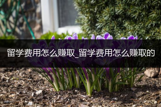 留学费用怎么赚取_留学费用怎么赚取的