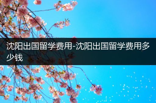 沈阳出国留学费用-沈阳出国留学费用多少钱