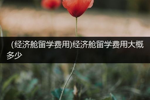 （经济舱留学费用)经济舱留学费用大概多少
