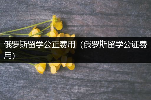 俄罗斯留学公正费用（俄罗斯留学公证费用）