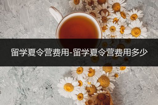 留学夏令营费用-留学夏令营费用多少