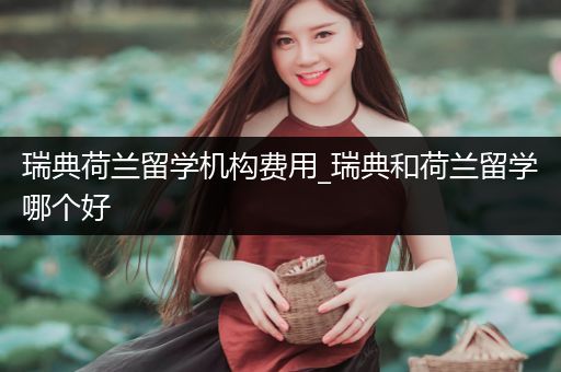 瑞典荷兰留学机构费用_瑞典和荷兰留学哪个好