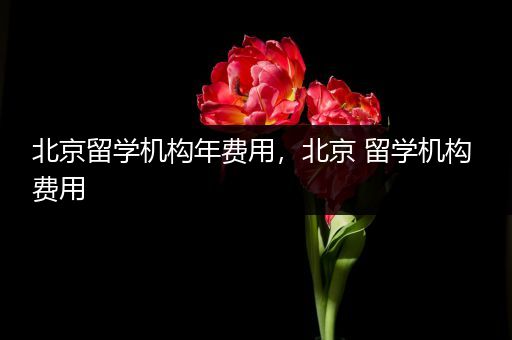 北京留学机构年费用，北京 留学机构 费用