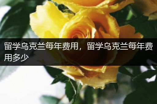 留学乌克兰每年费用，留学乌克兰每年费用多少