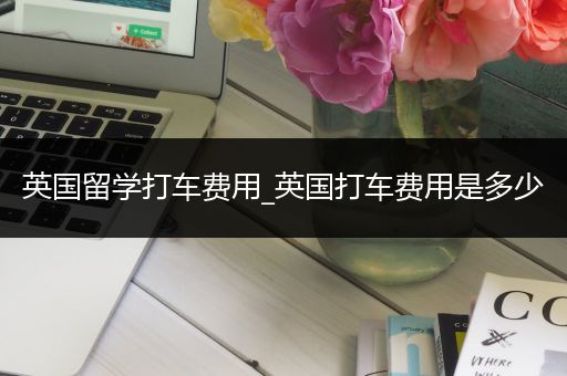 英国留学打车费用_英国打车费用是多少