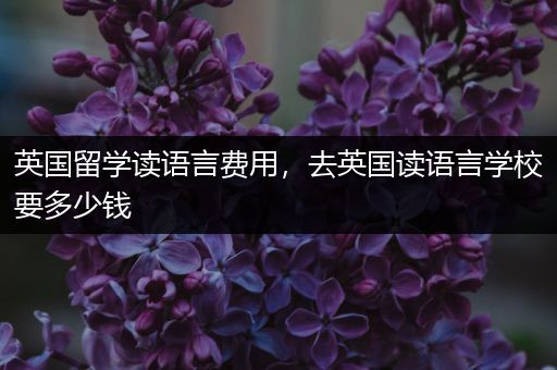 英国留学读语言费用，去英国读语言学校要多少钱