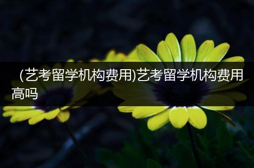 （艺考留学机构费用)艺考留学机构费用高吗